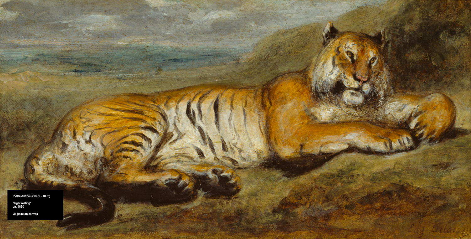 Pierre Andrieu (Tigre descansando)